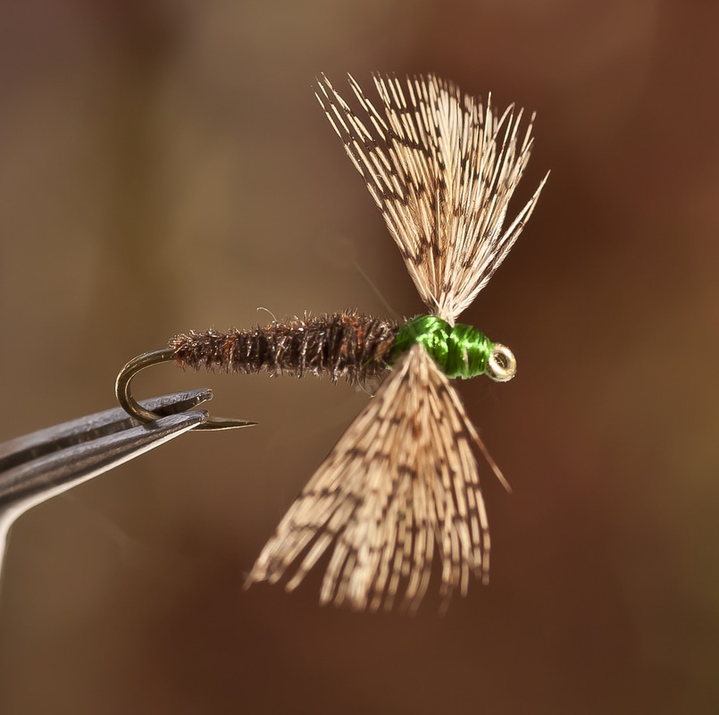 Mayfly & Midge Dry Fly Patterns - Rocky River Trout Unlimited