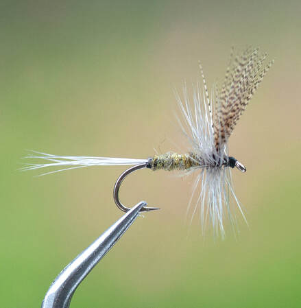 Blue Wing Olive Light Cahill Dry Fly 
