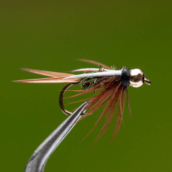 BH Prince Nymph - Rocky River Trout Unlimited
