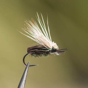 Murray's Flying Beetle - Rocky River Trout Unlimited