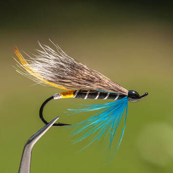 Blue Charm Hair Wing - Salmon/Steelhead Fly - Rocky River Trout